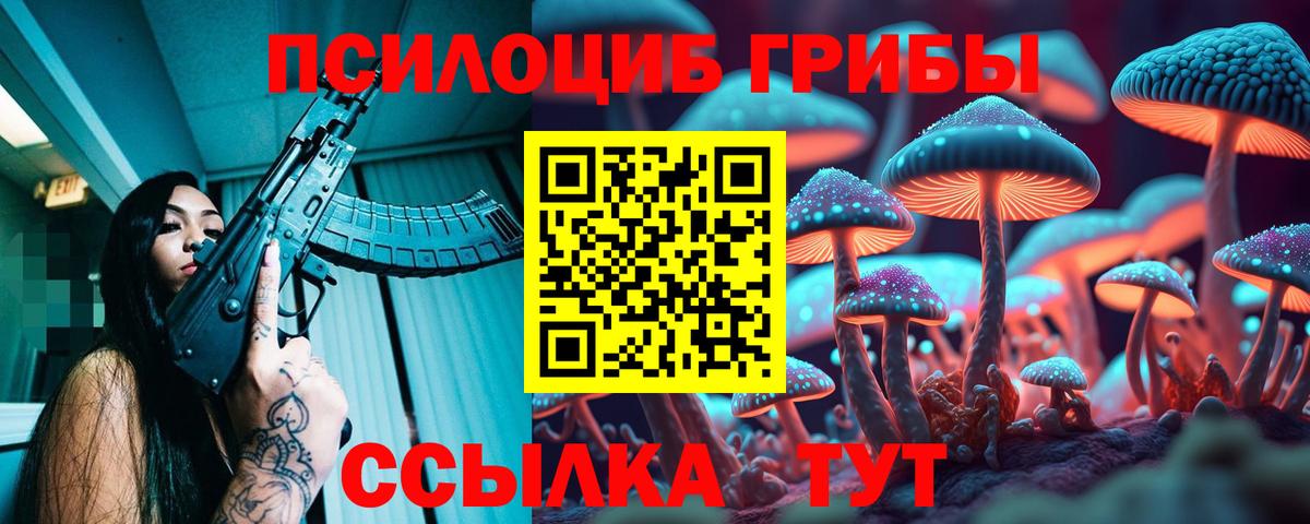 Галлюциногенные грибы Psilocybe Асино